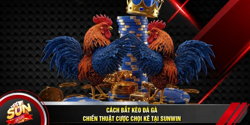Cách bắt kèo đá gà