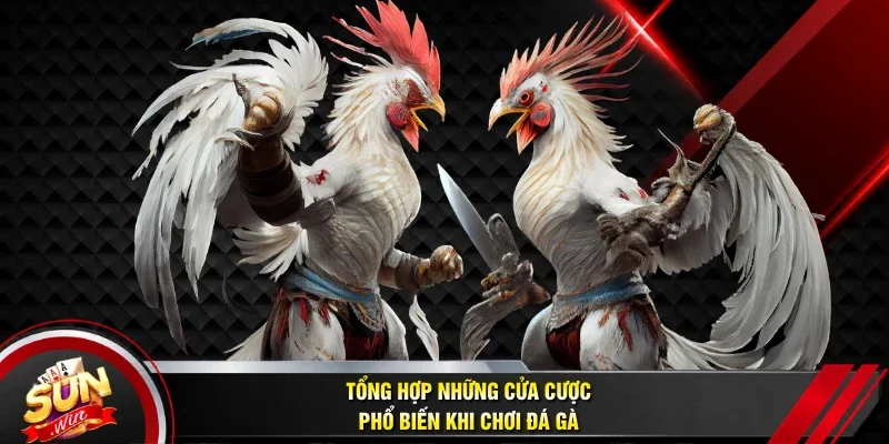 Tổng hợp những cửa cược phổ biến khi chơi đá g